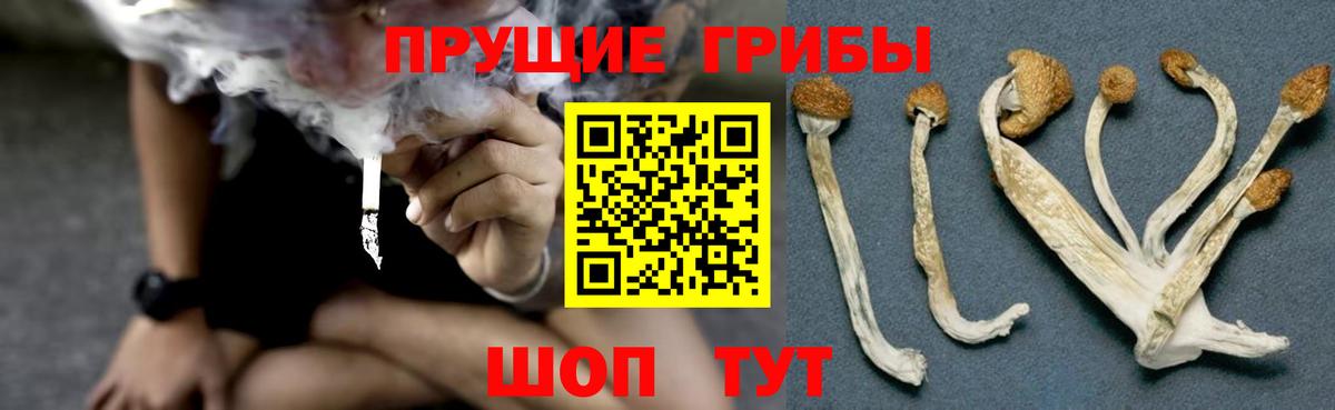 Галлюциногенные грибы прущие грибы  Вход с VPN  Пыть-Ях 